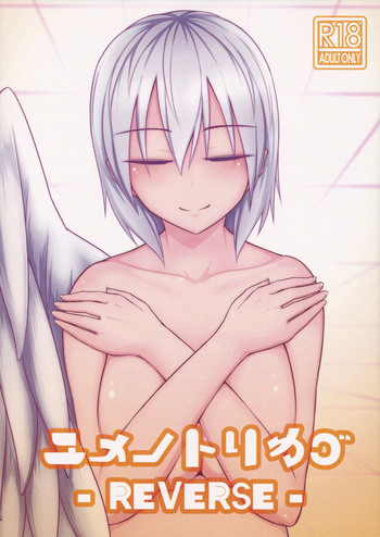 (東方神蓮珠) [ラピスラズリ鉱石 (黒羽ラピッド)] ユメノトリカゴ ‐REVERSE‐ (東方Project)