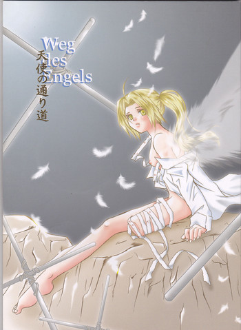 (C68) [HEAVENS (月影満丸)] Weg des Engels (鋼の錬金術師)