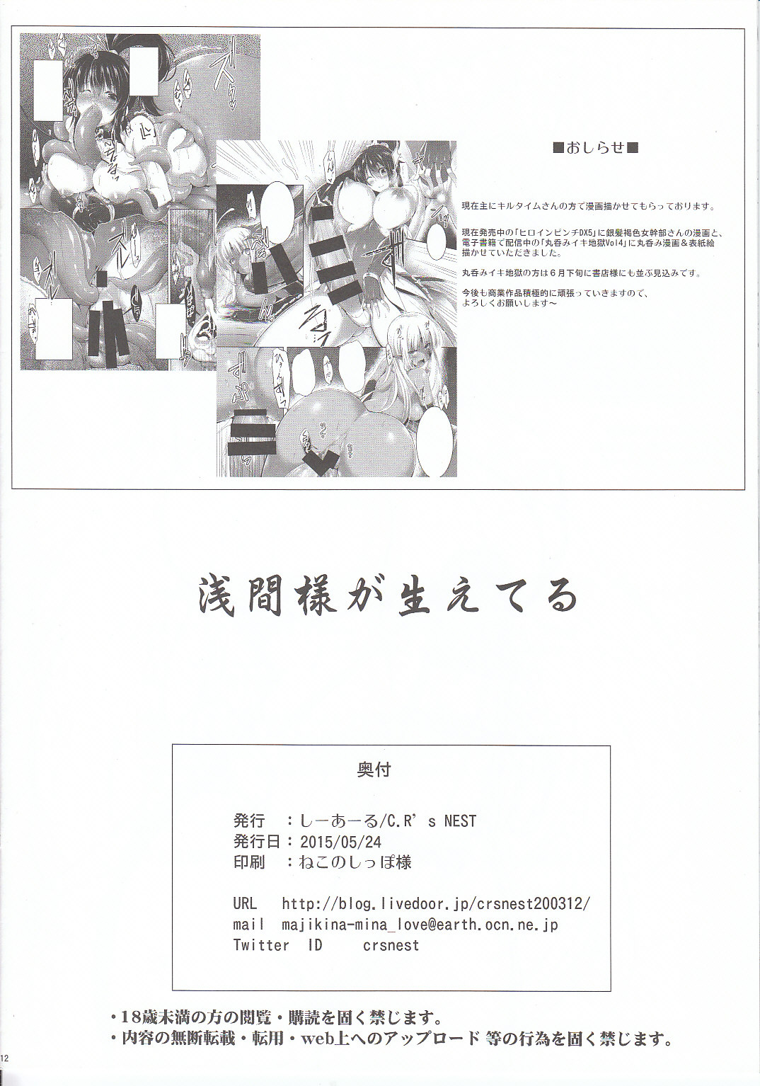 (第8回近しき親交のための同人誌好事会) [C.R's NEST (C.R)] 浅間様が生えてる (境界線上のホライゾン)