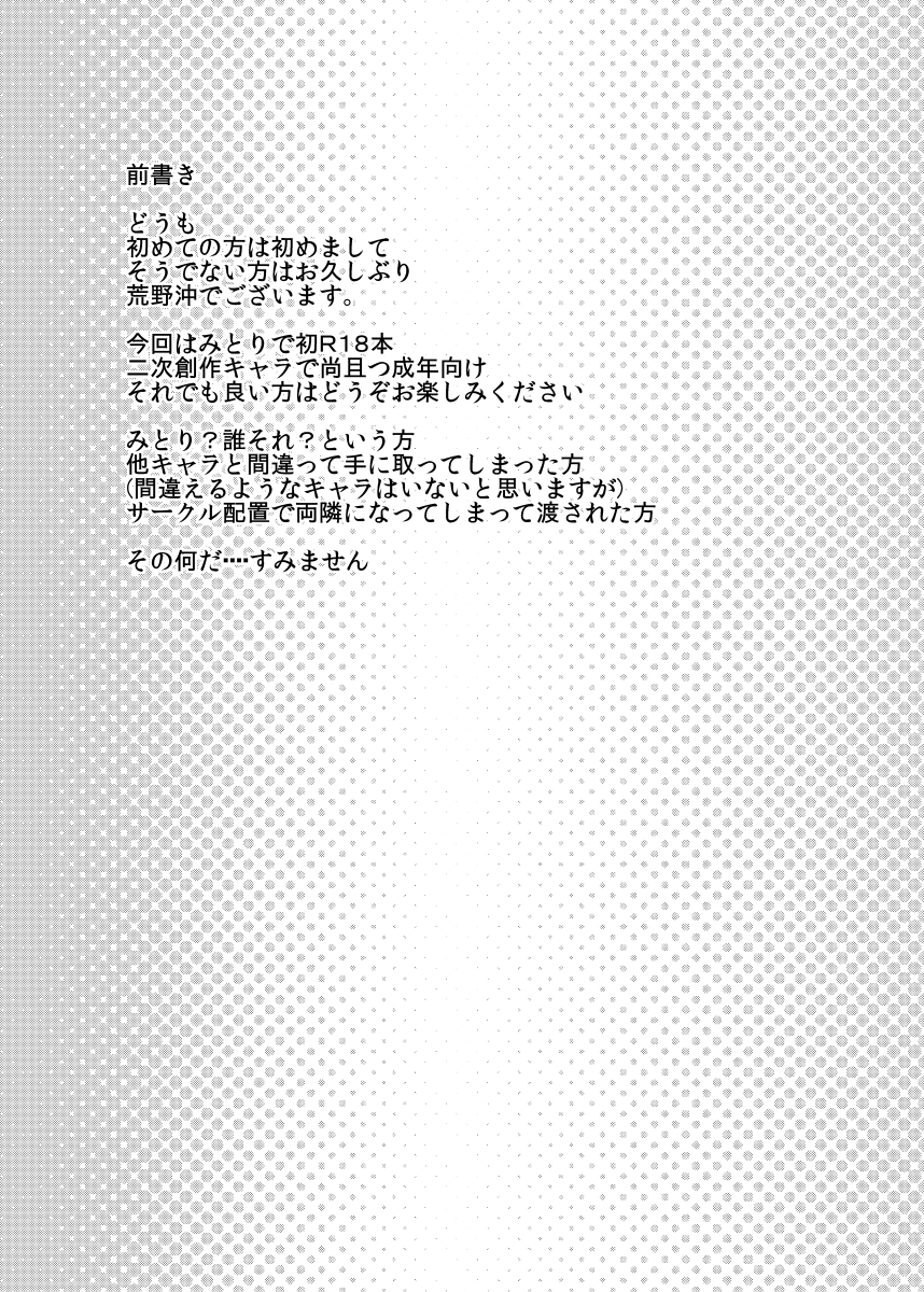 (紅楼夢8) [ふらふらトキシン (荒野 沖)] 前に出したみとり本 (東方Project)