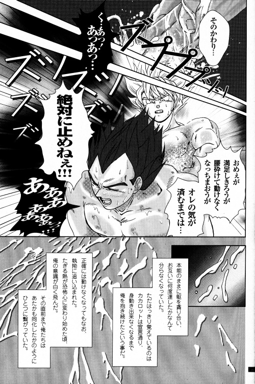 [GREFREE (ema)] Blaze (ドラゴンボールZ)