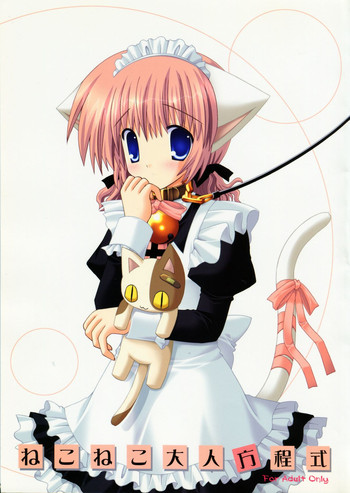 (C70) [猫禁猟区 (ねこねこ)] ねこねこ大人方程式