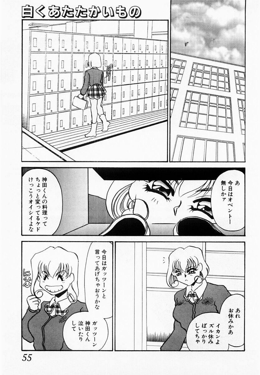 [海野やよい] 嘘つきな淫花