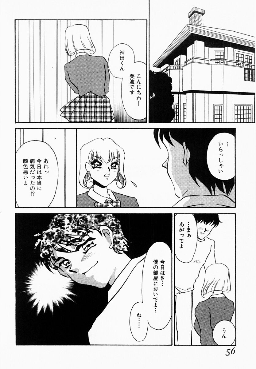 [海野やよい] 嘘つきな淫花