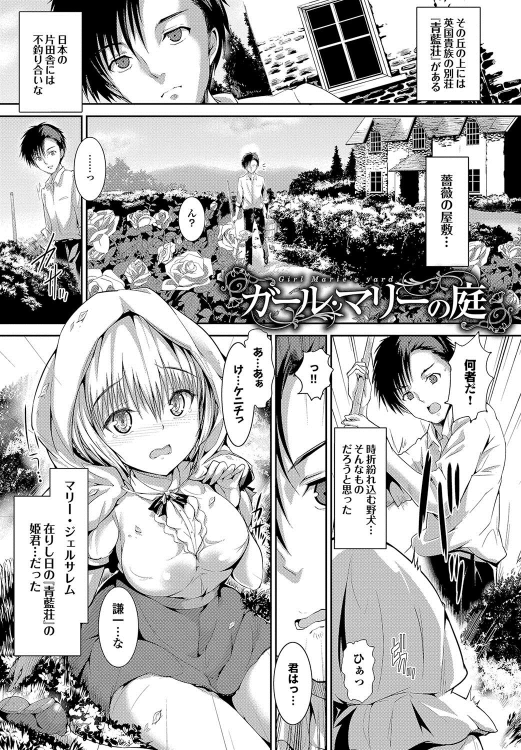 [丸和太郎] 少女ミステリカ [DL版]