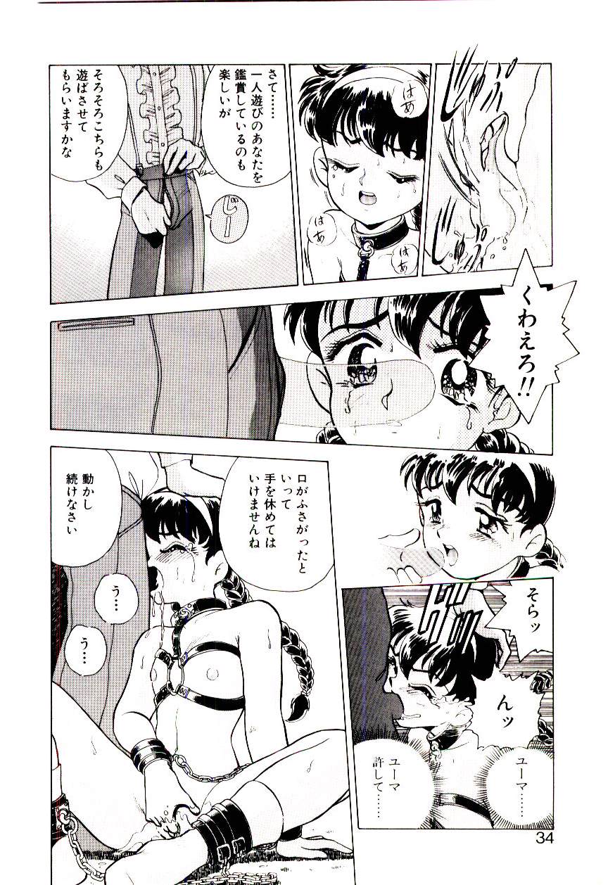 [桐立のぼる] 冒険！！王家の紋章