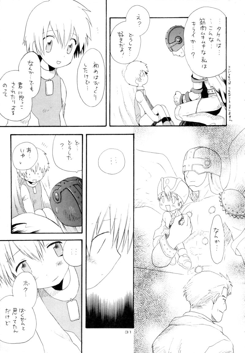 (サンクリ15) [るぐるDNA (よろず)] ゼンダ城の虜 (デジモンアドベンチャー02)