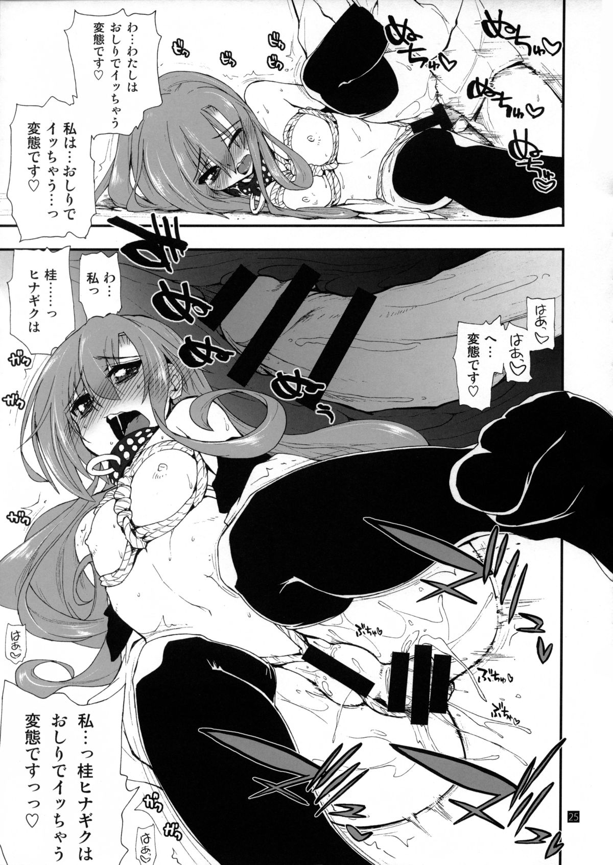 (C85) [ギリギリ虹色 (上乃龍也)] ヒナとハヤテ 2 (ハヤテのごとく!)
