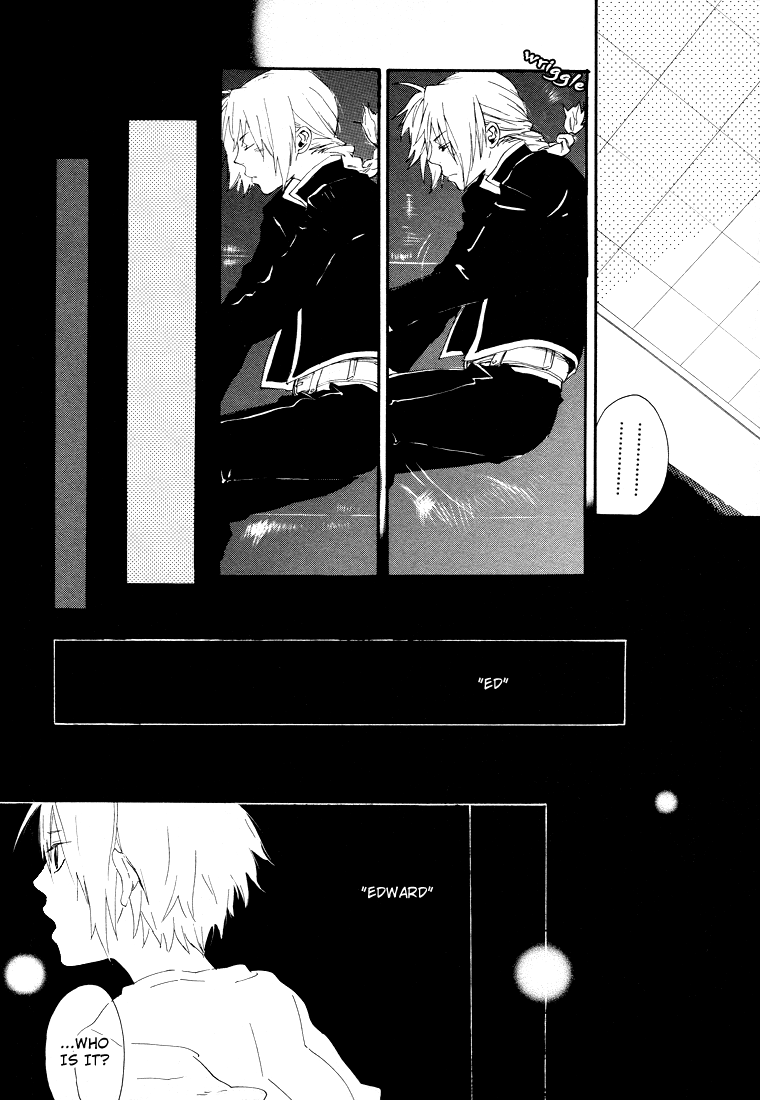 [ナインコークス (九號)] The Lust Terrorist (鋼の錬金術師) [英訳]
