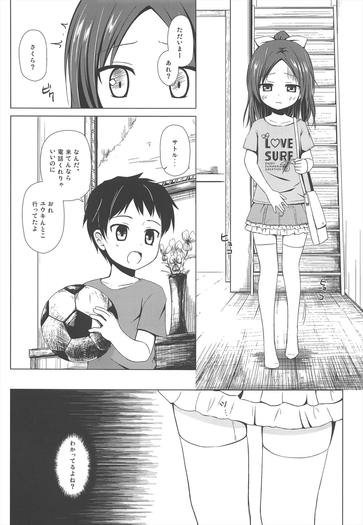 (サンクリ60) [ノラネコノタマ (雪野みなと)] 終わりの日記帳
