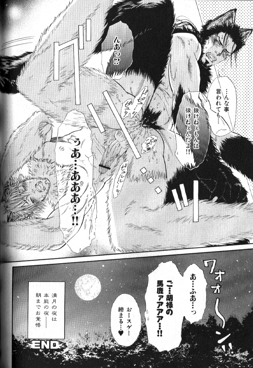 マッチョタイプVol。 14 [JP]