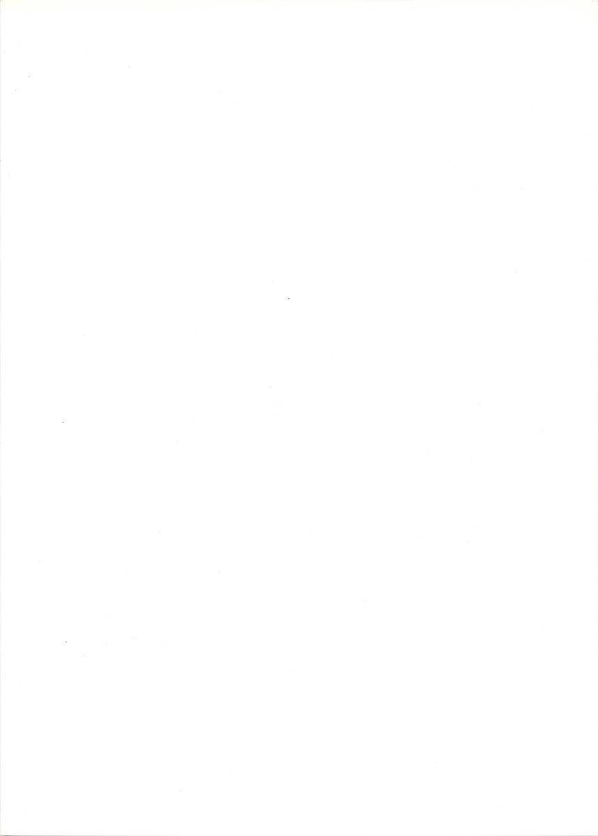 (C52) [華咲組 (華咲'97)] 残照 (トゥハート)