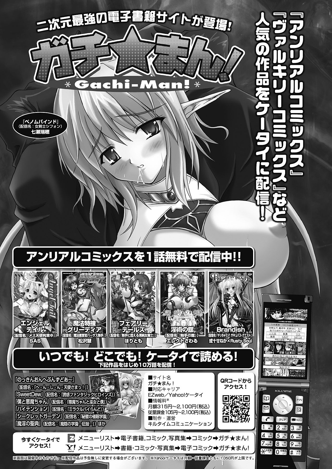 コミックアンリアル 2011年2月号 Vol.29 [DL版]