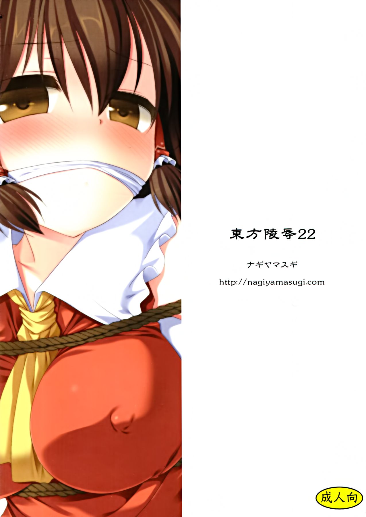 (紅楼夢8) [ナギヤマスギ (那岐山)] 東方陵辱22 (東方Project)