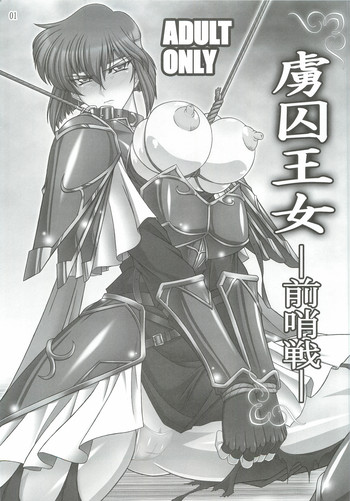 (C79) [BOBCATERS (波紋愛)] 虜囚王女－前哨戦－ (ファイアーエムブレム)