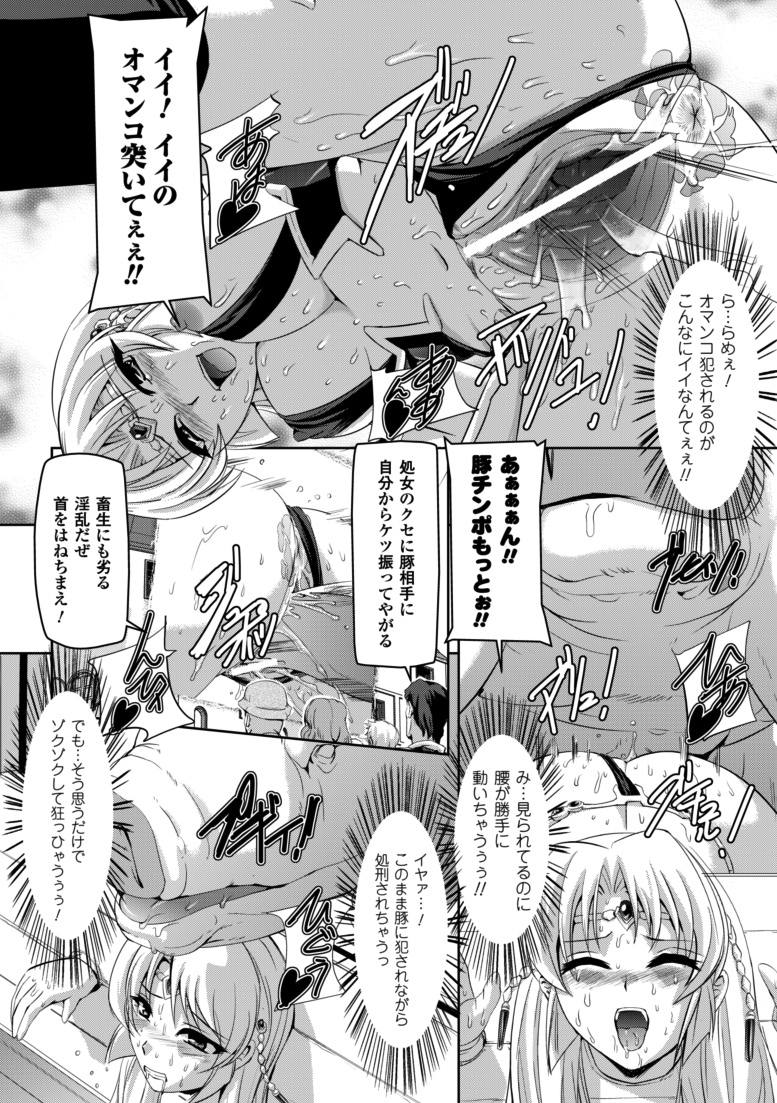 [筑摩十幸, 助三郎] 黒薔薇の騎士～聖帝ローザ～ [DL版]