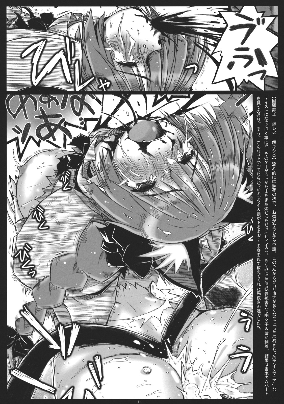 (例大祭9) [暗黒暴走組 (アイヌマニア)] 折レヌ星 非運ノ夢、結ビ (東方Project)