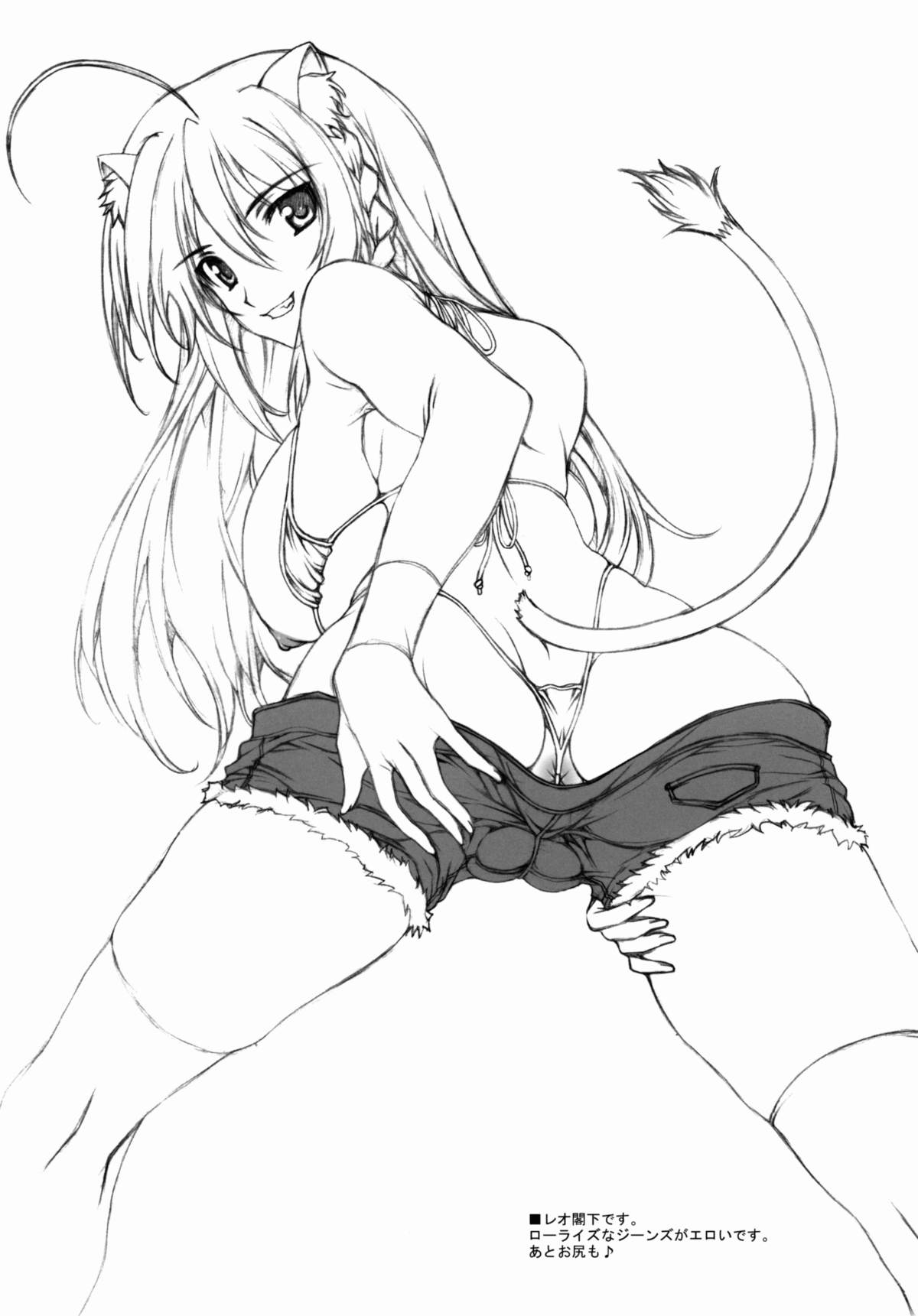 (C80) [BRIEST (八嶋テツヤ)] DDR/01 (DOG DAYS)