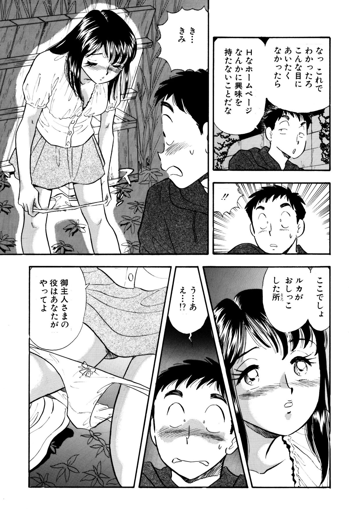 [丸美企画] ひみつ妻3