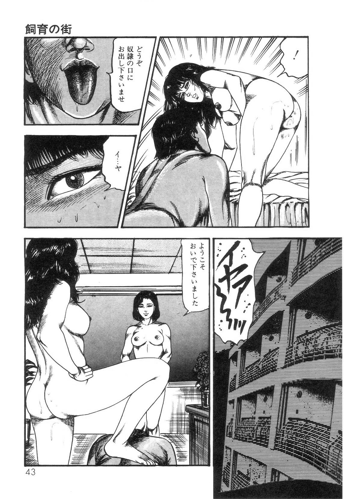 [三条友美] 白の黙示録 第4巻 美畜・花恋の章