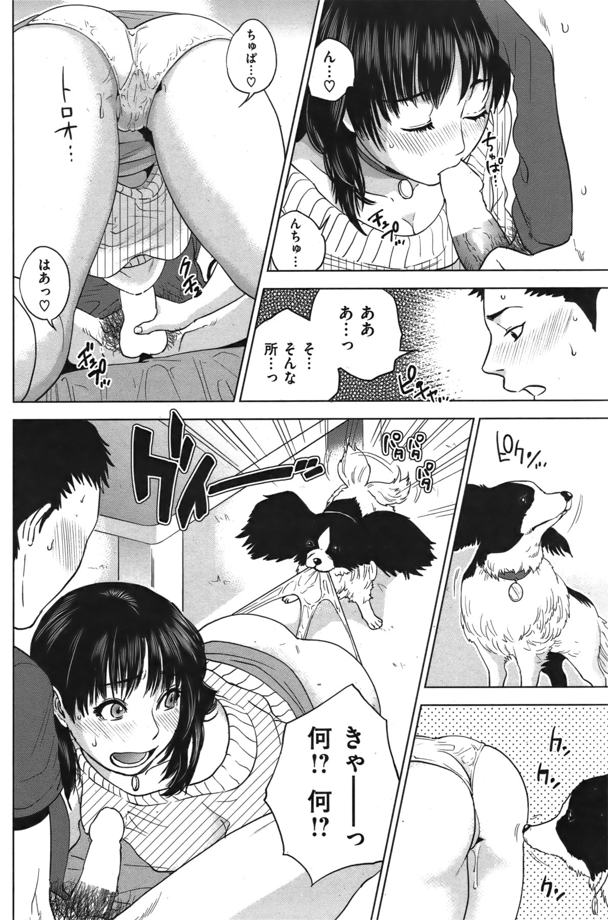 [雑誌] COMIC 失楽天 Vol.06 COMIC 快楽天 2011年12月号増刊