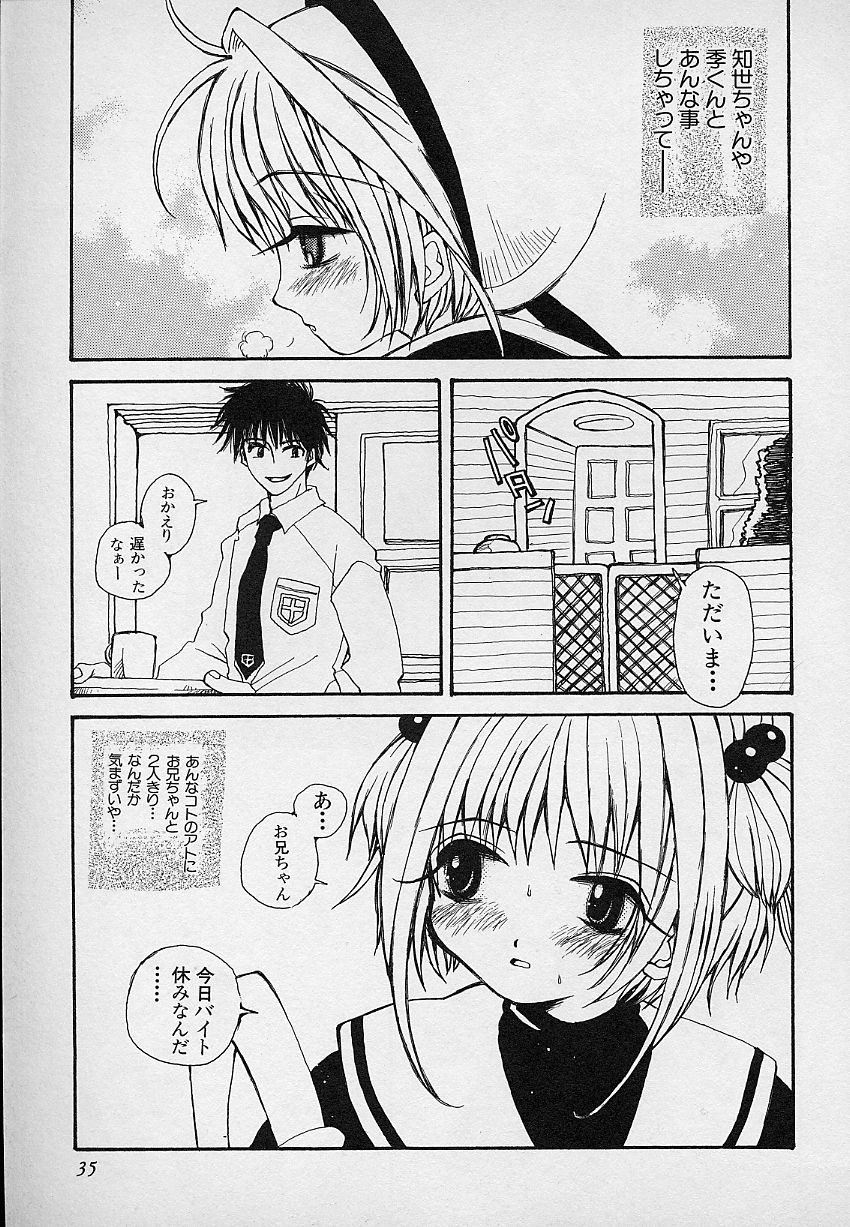 [あさいいちこ] ベリィスゥイート BERRY SWEET (よろず)