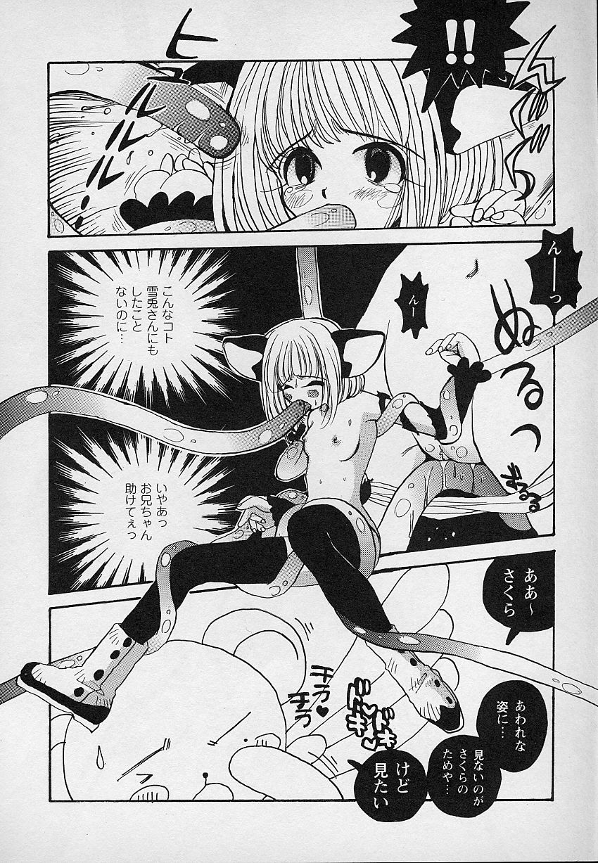 [あさいいちこ] ベリィスゥイート BERRY SWEET (よろず)