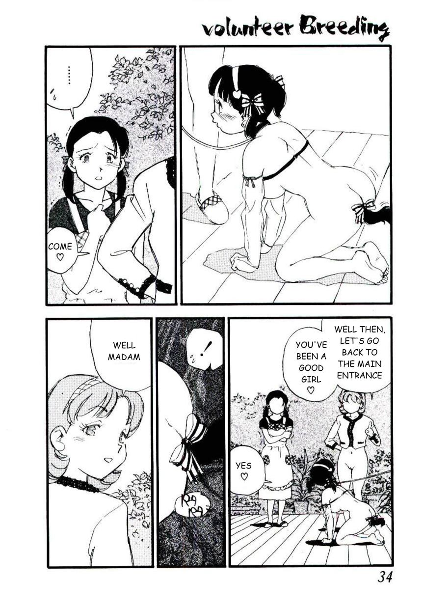 [海明寺裕] ヴォランティア・ブリーディング [英訳]
