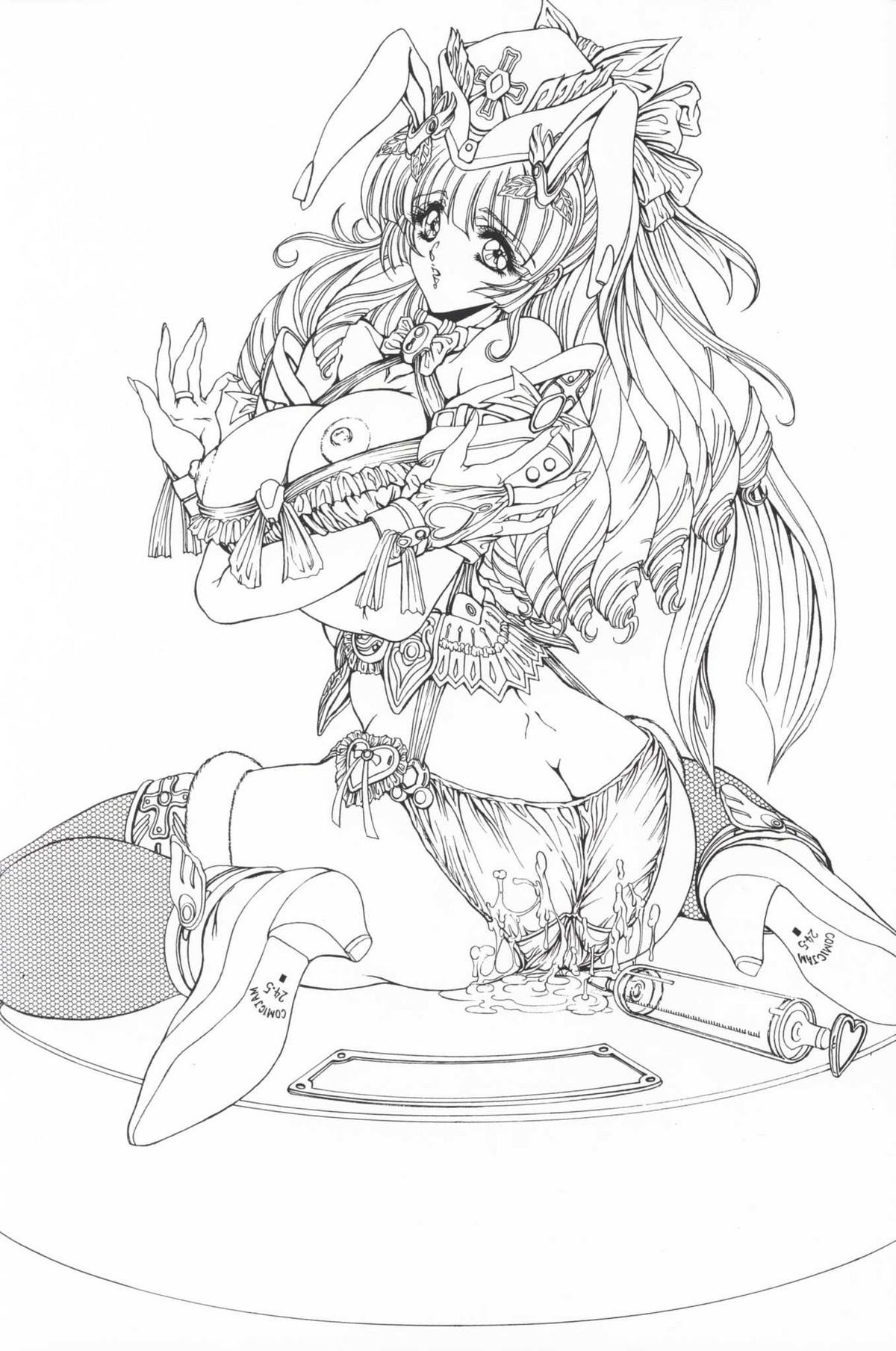 (C57) [チームプラスY] Plus-Y 25 けもみみっくす