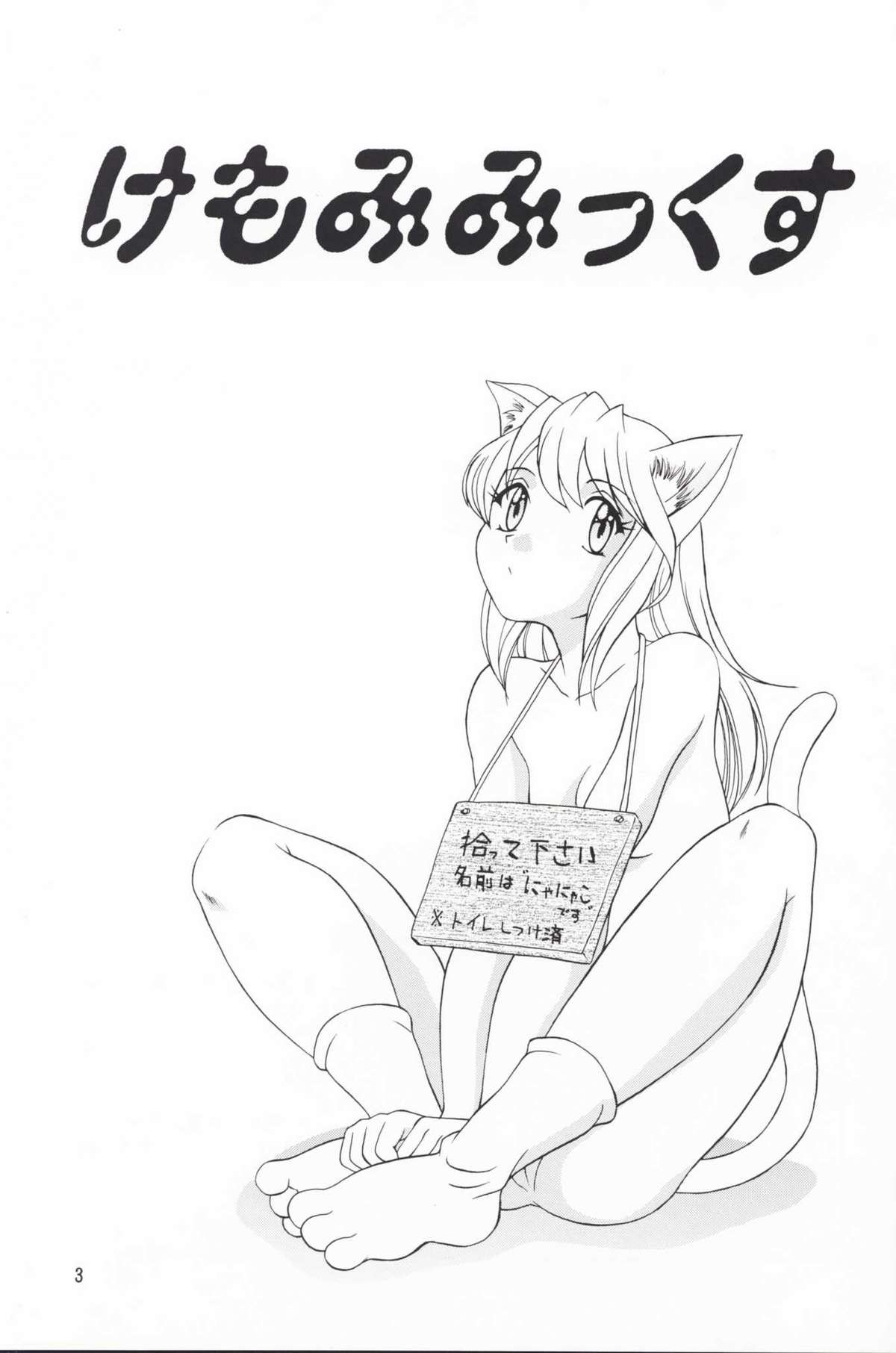 (C57) [チームプラスY] Plus-Y 25 けもみみっくす