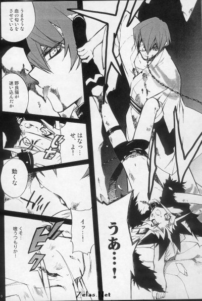 (C66) [羅盤 (氷室雫)] 白蛇さんと黒猫くん 1 (遊☆戯☆王!)
