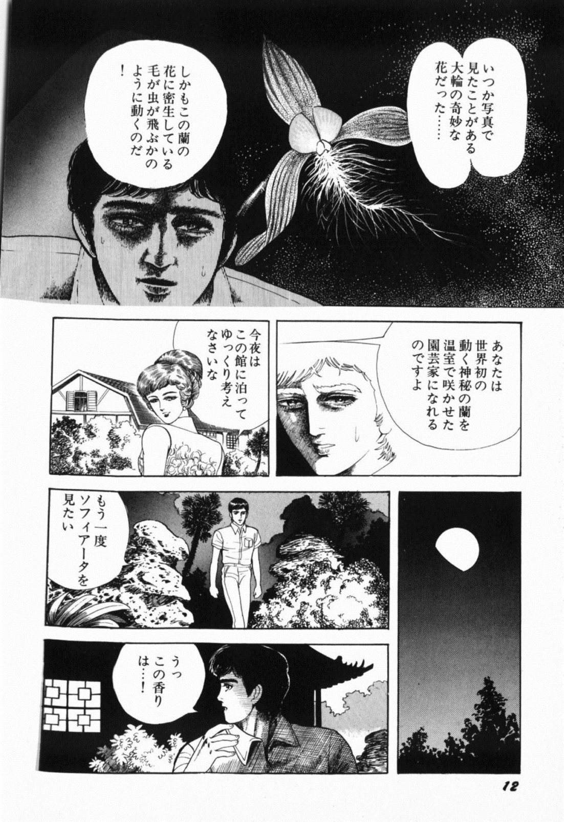 [しだ翠] 蘭館