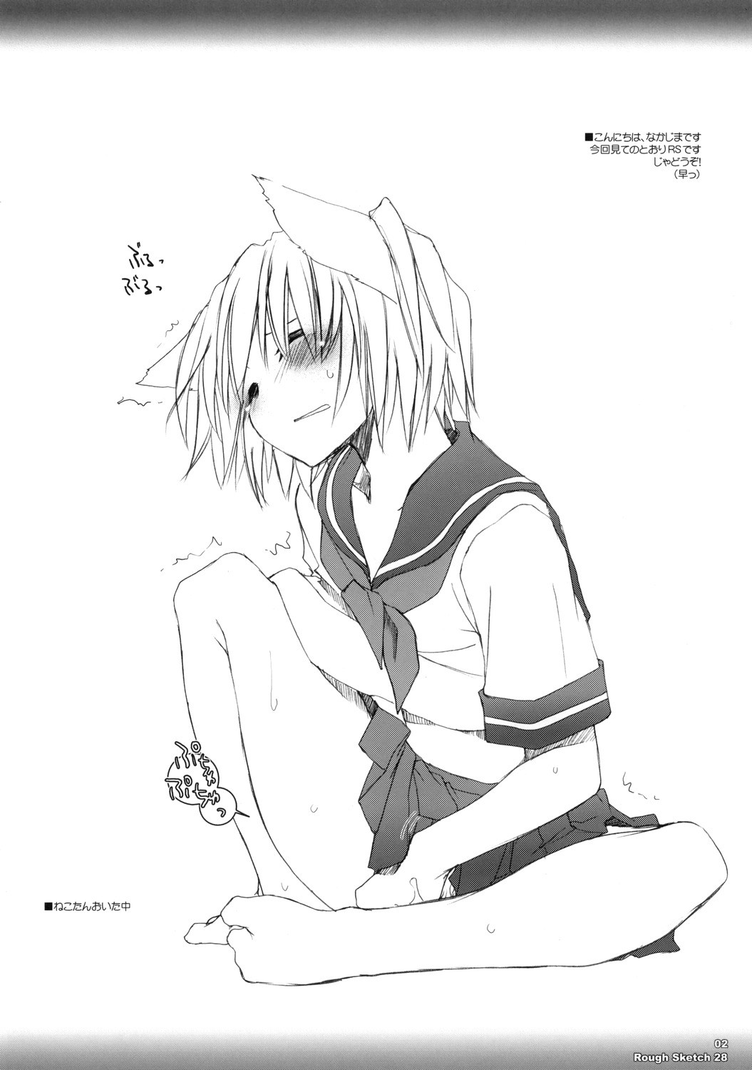 (サンクリ31) [Digital Lover (なかじまゆか)] Rough Sketch 28 (ラグナロクオンライン)