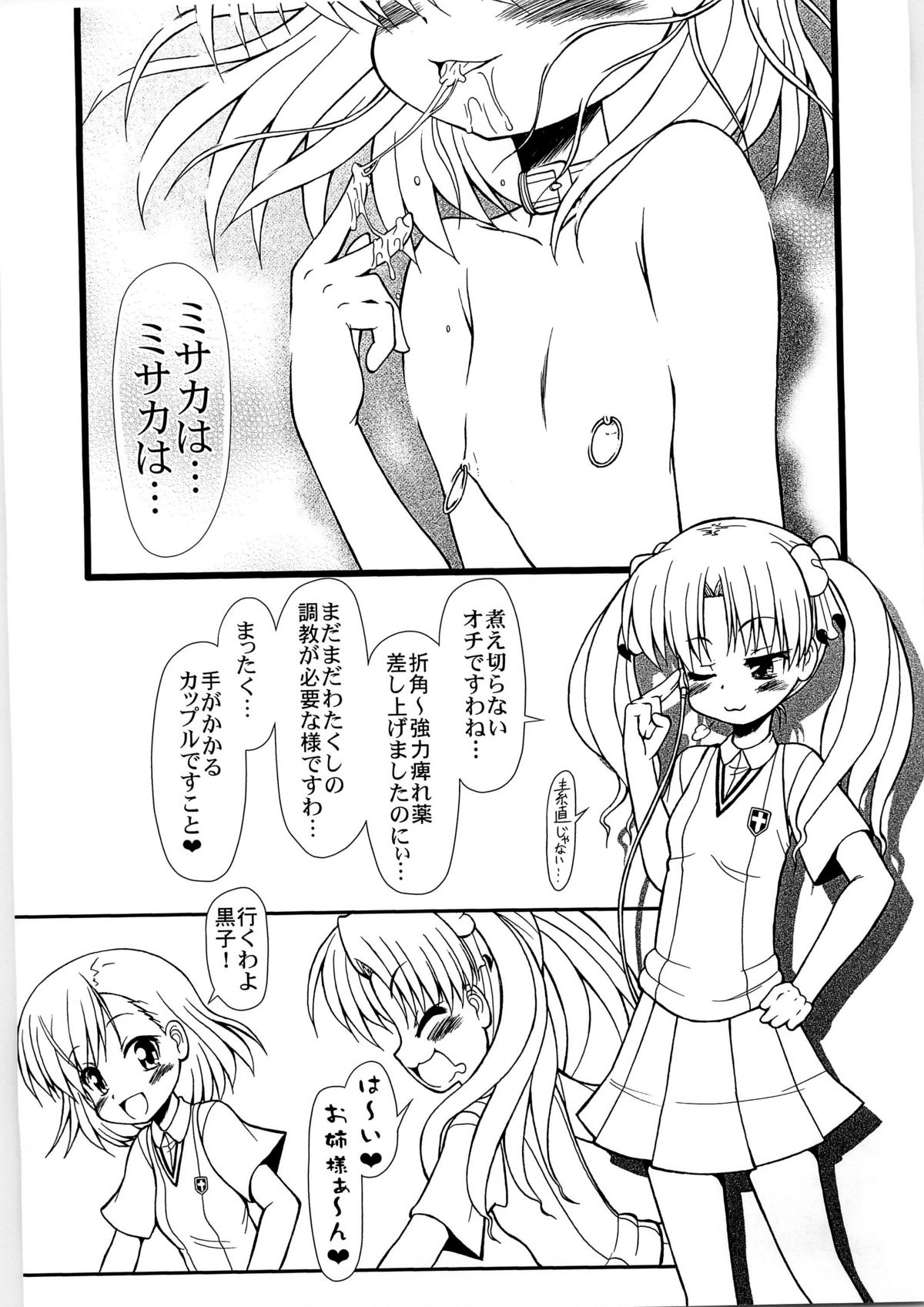(C79) [サークルENERGY (新春夏秋冬)] LO: LAST ORDER (とある魔術の禁書目録)