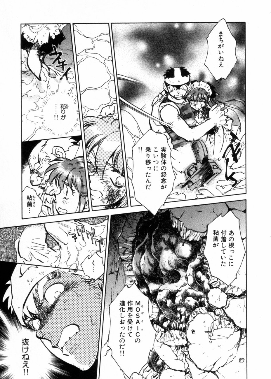 [柴田昌弘] サライ 第10巻