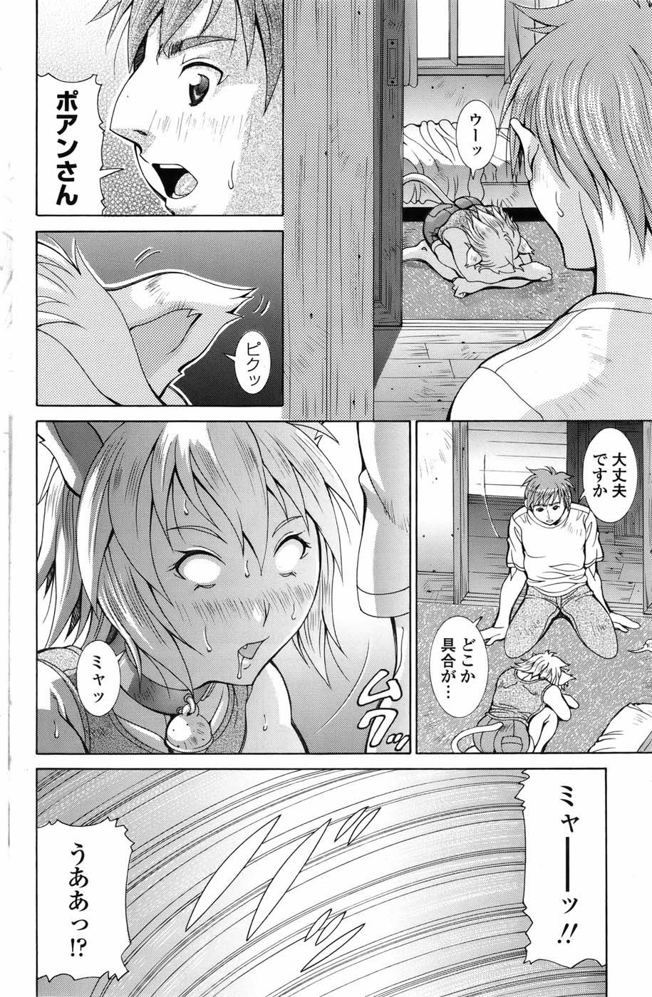 COMIC ペンギンセレブ 2010年11月号