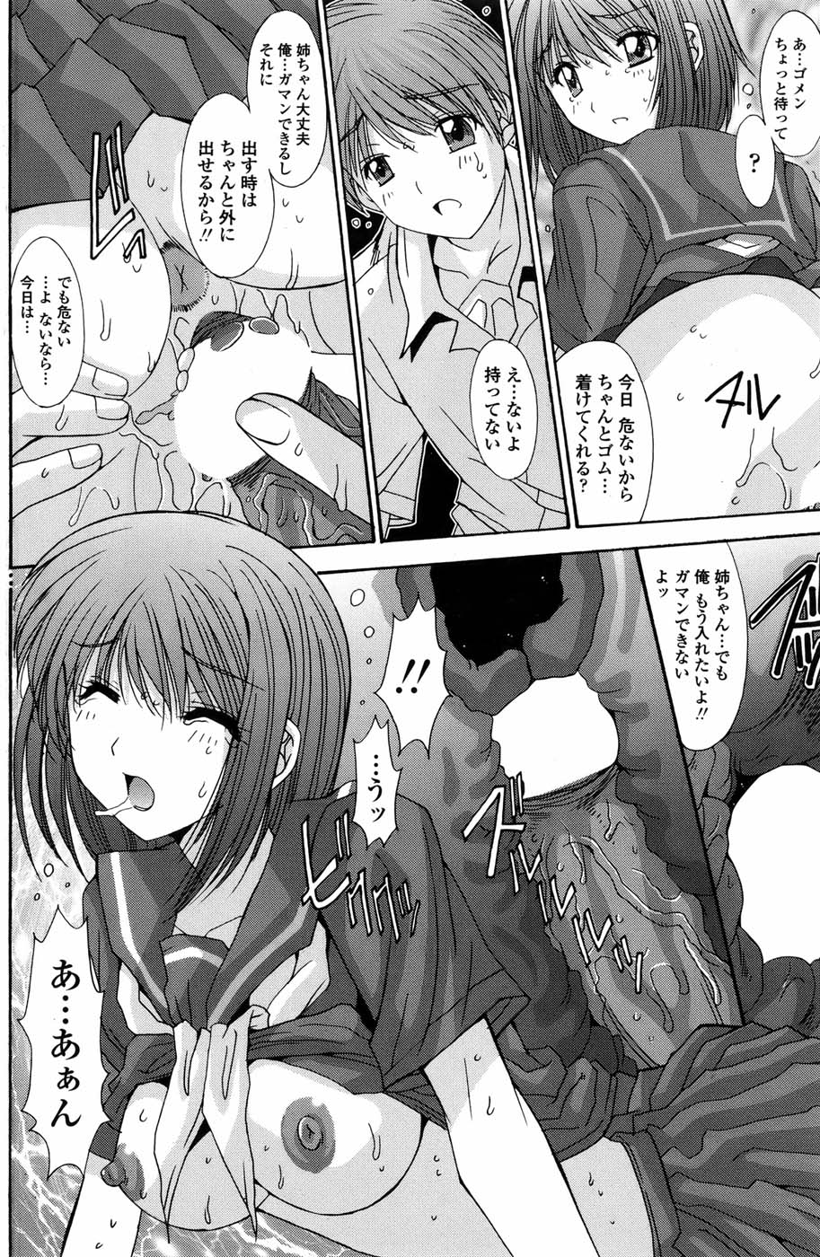 COMIC ペンギンセレブ 2010年11月号
