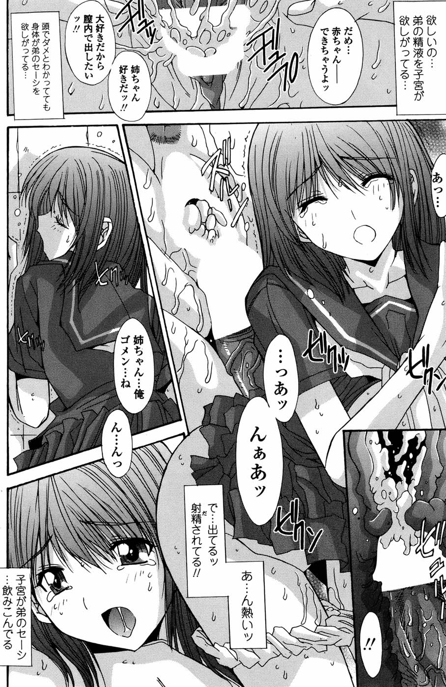 COMIC ペンギンセレブ 2010年11月号