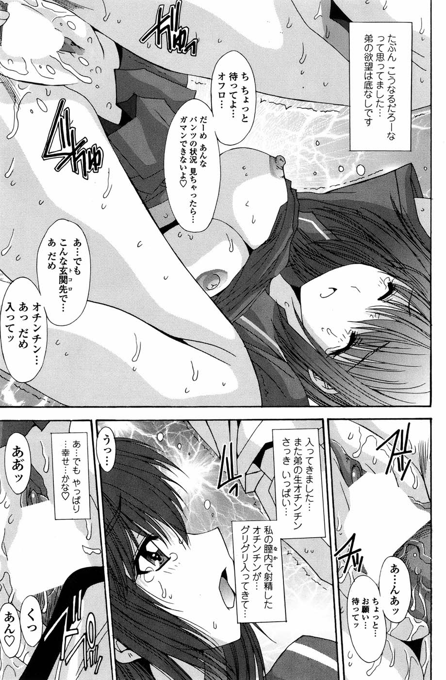 COMIC ペンギンセレブ 2010年11月号