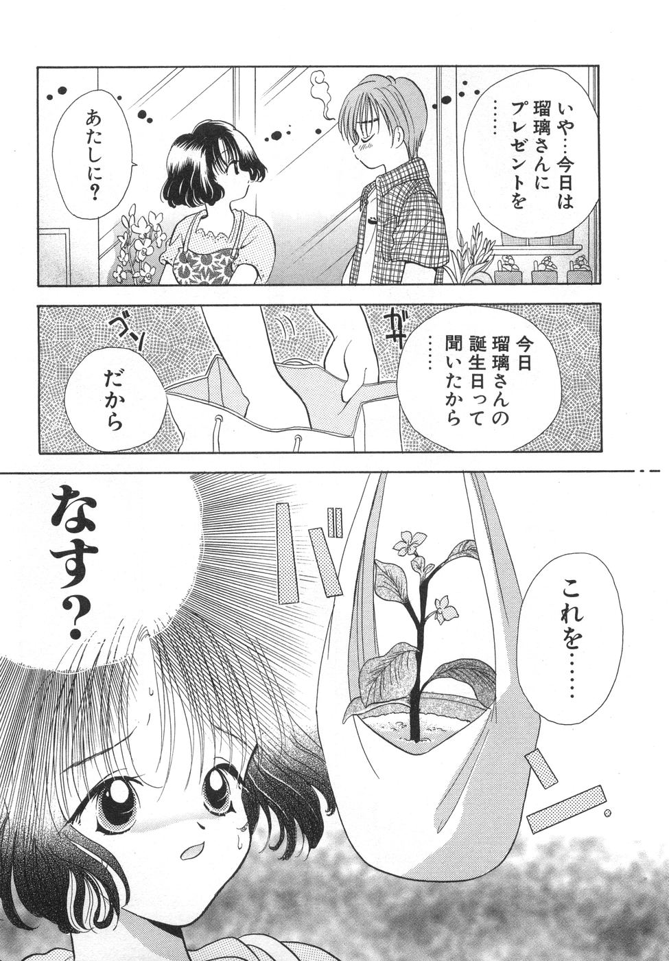 [後藤羽矢子] オレンジ色の花