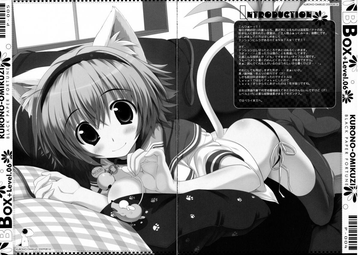 (C76) [黒ノ御神籤 (御敷仁)] BBOX-Level.06