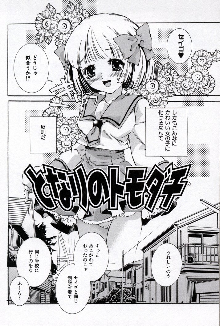 [酔花ころん] 同級生観察カタログ