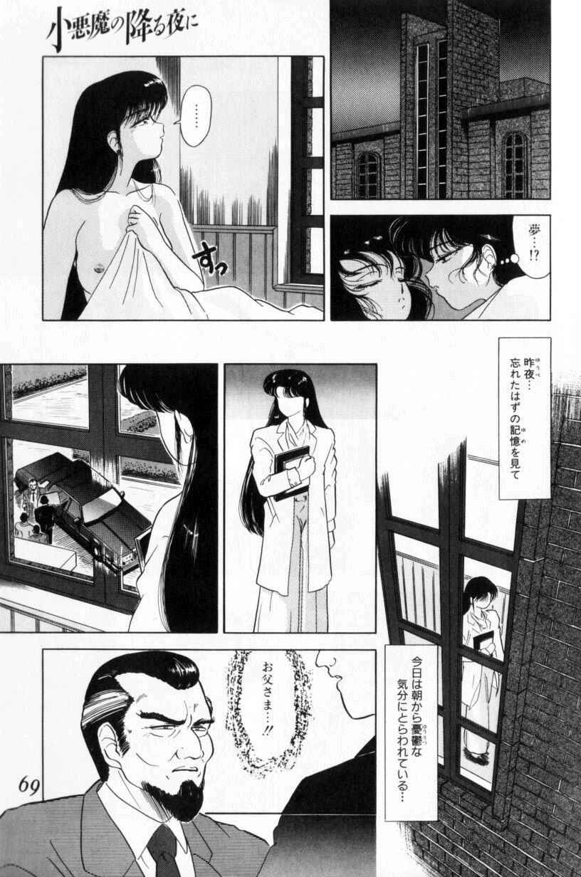 [富秋悠] 小悪魔の降る夜に
