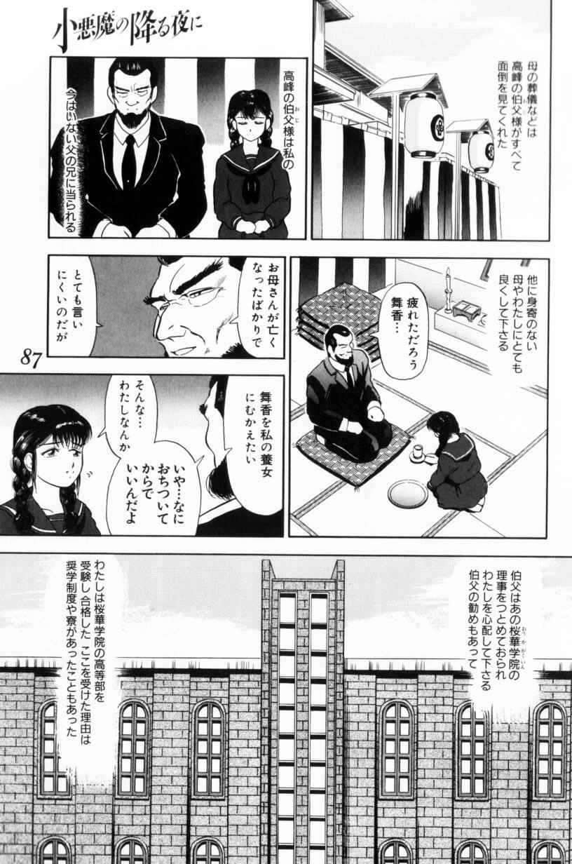 [富秋悠] 小悪魔の降る夜に