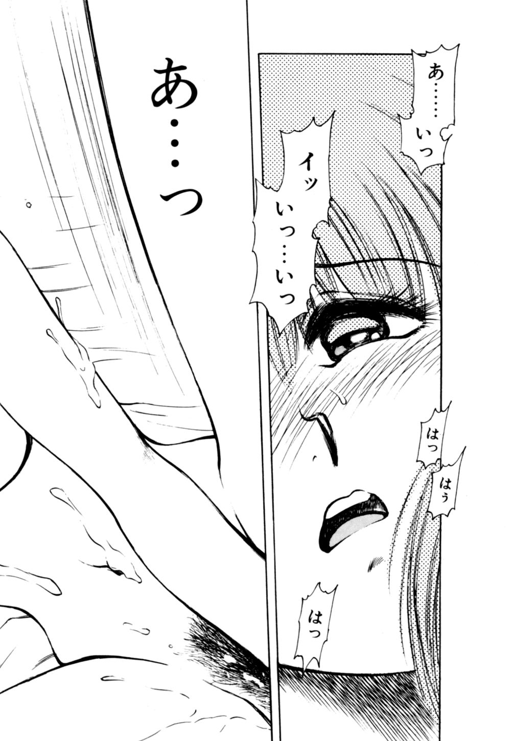 [光善寺恵] もぎたてMYティーチャー