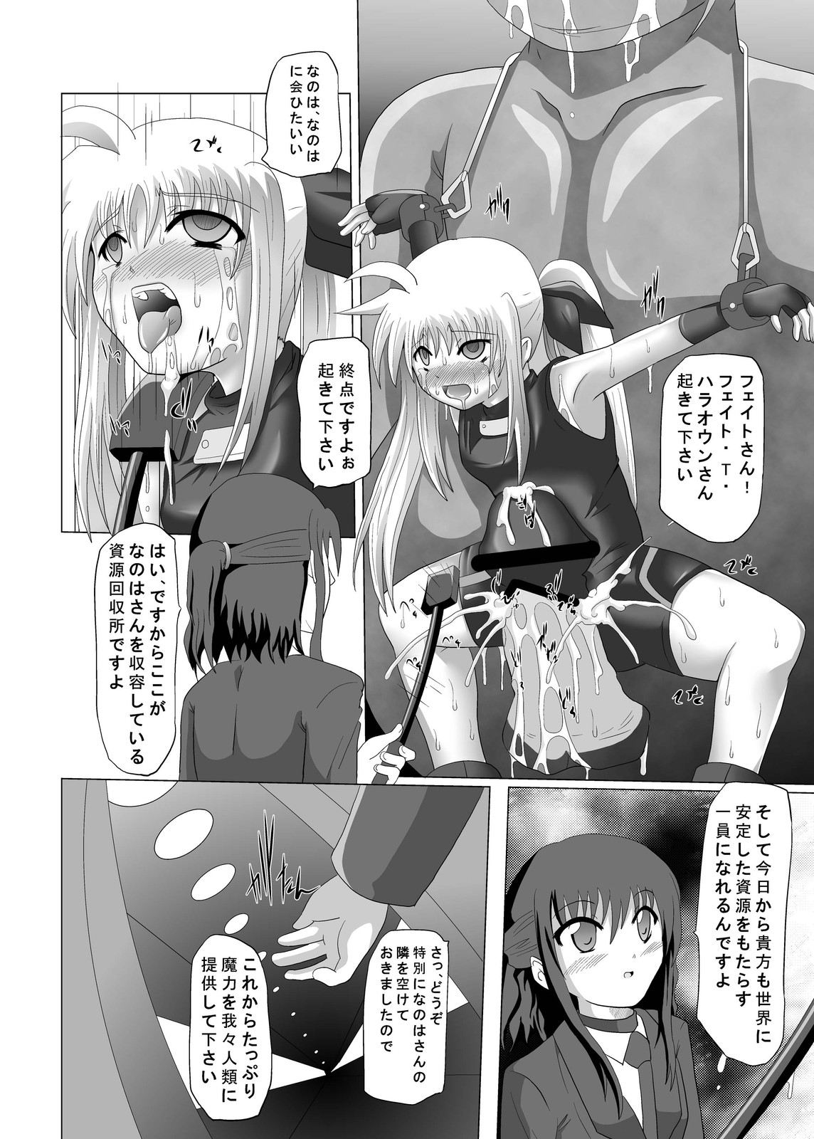 (サンクリ45) [黒玉屋 (紅玉)] 資源回収 (魔法少女リリカルなのは)