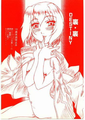 (C67) [姫庵 (みかん)] 裏・裏DESTINY (機動戦士ガンダムSEED DESTINY)