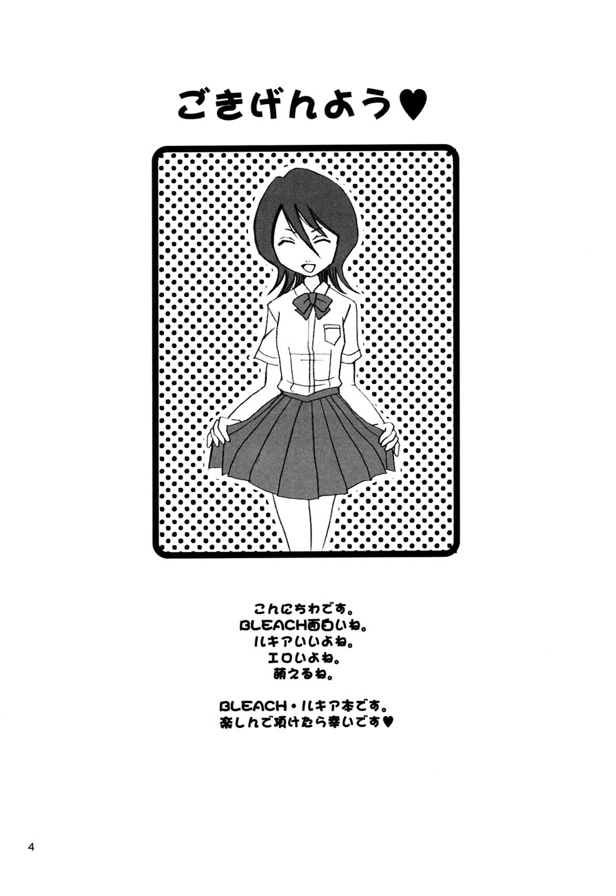 [NIKOPONDO (青山怜央)] GRATEFUL DEAD (ブリーチ)