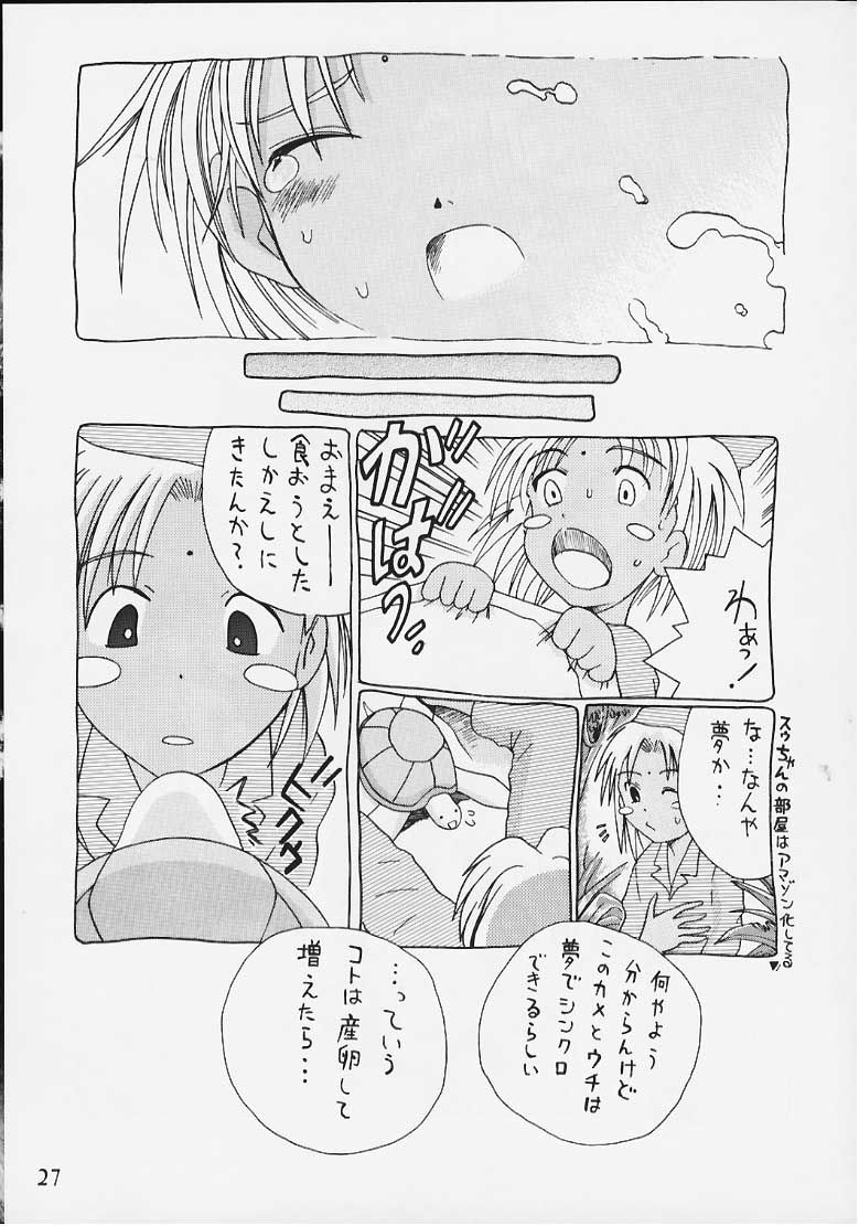 テンプル騎士団2000（コミケv12）（ラブひな）