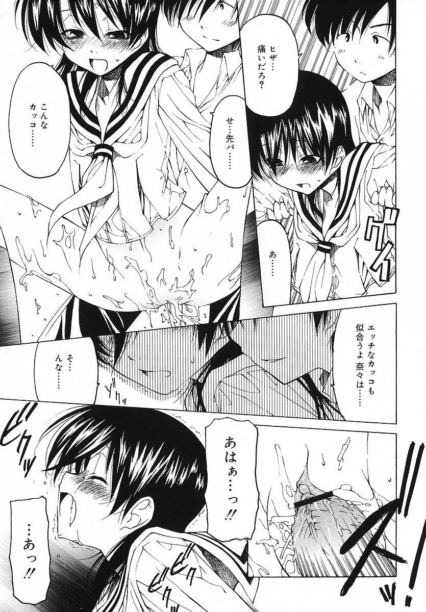 [ベンジャミン] だって好きだもの